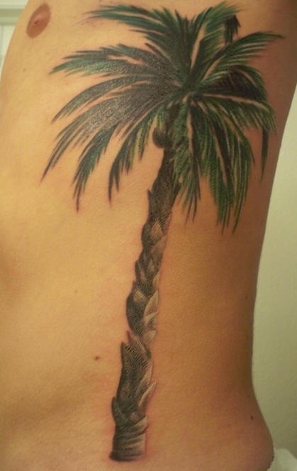 Rib tattoo,real , parti-coloured      palm tree