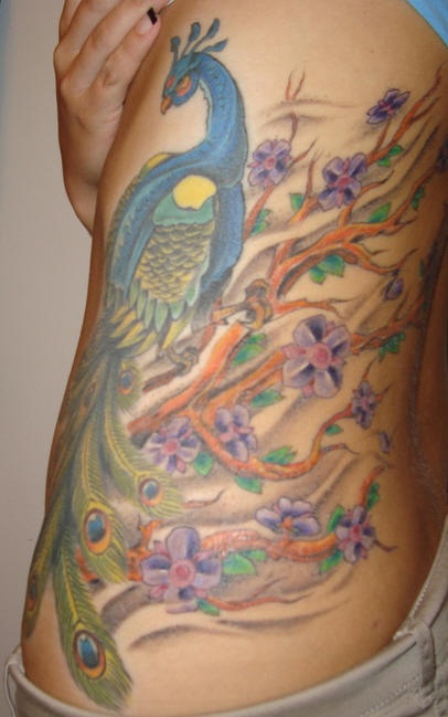 Colored side tattoo of peacock and tree
