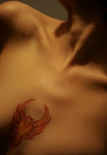 Simbolo di fenice tatuaggio sul petto