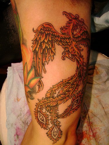 el tatuaje detallado de color negro y naranja con la ave magica fenix hecho en el brazo