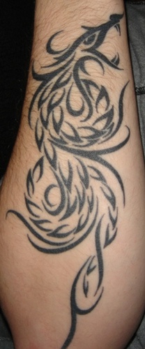 Tribal phoenix symbol tattoo on forearm