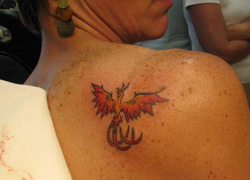 el tatuaje pequeño de la ave fenix roja