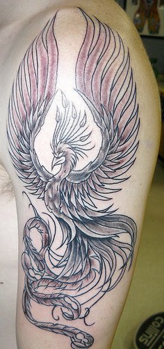 el tatuaje lineado de la ave fenix volando hecho en el hombro