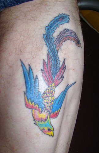 el tatuaje pequeño de la ave fenix colorada