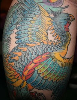 Nice colourful magic bird tattoo
