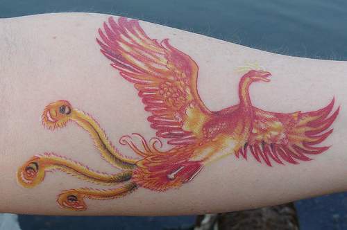 el tatuaje de la ave fenix de color rojo