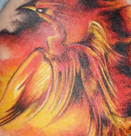 el tatuaje de un Fenix en las llamas de fuego hecho en color naranja y negro