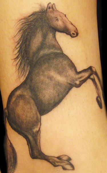 Realistic black horse tattoo