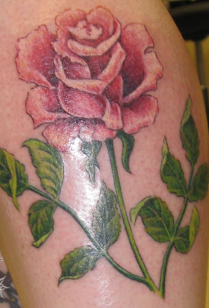 Realistic pink rose tattoo