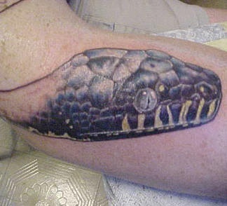 Realistischer Schlangenkopf Tattoo