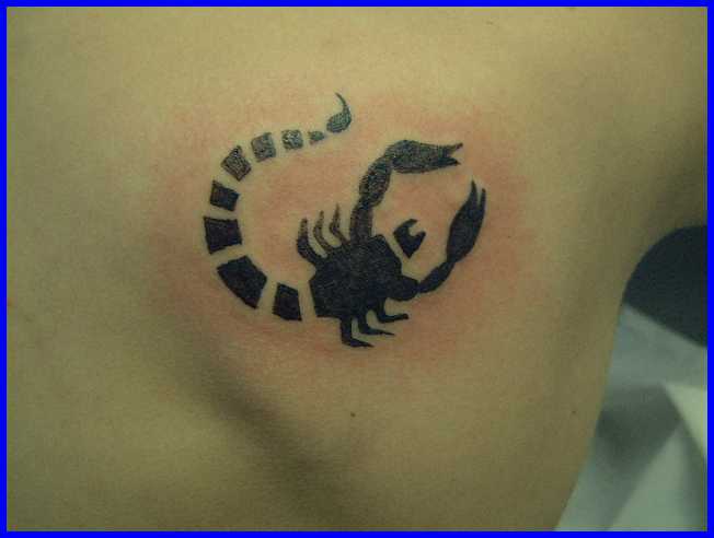 Lo scorpione colorato pieno di nero sulla schiena