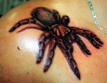 Araña 3D tatuaje en color en el hombro