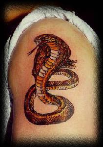 Realistic golden cobra tattoo