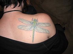 Large dragonfly tattoo on shoulder