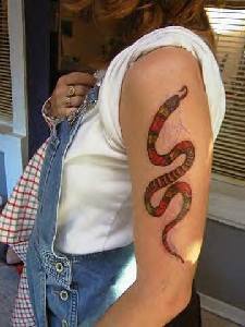 Colourful small snake tattoo on arm