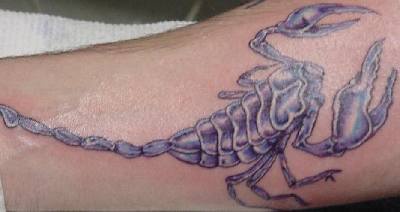 Muy realístico tatauje del escorpio en tinta negra
