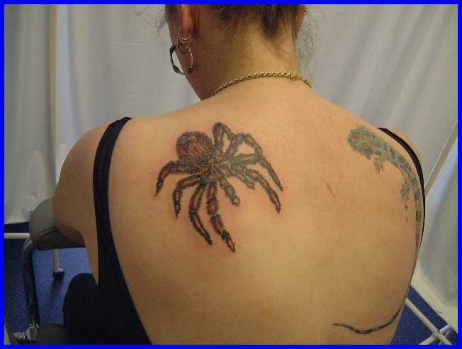 Large spider tattoo on back