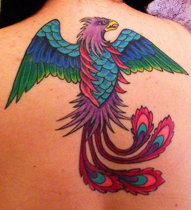 el tatuaje muy colorado y detallado de un Fenix hecho en la espalda