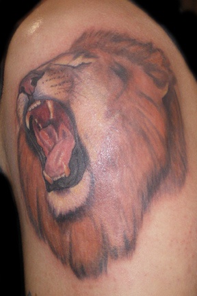 Roaring lion tattoo in colour