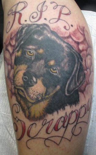 tatuaje conmemorial de perro rottweiler Scrappy