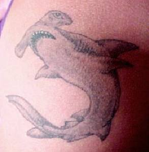 Pequeño tatuaje el pez martillo