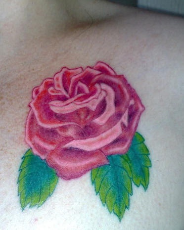 Shoulder tattoo, parti-coloured, nice flower, rose