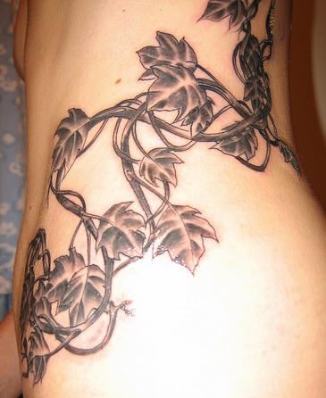 Tatuaggio non colorato sul fianco il ramoscello di edera