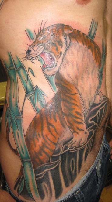 Side tattoo, growling beautiful tiger in nature