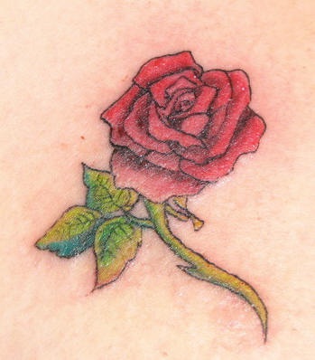 Rosa en color tatuaje tradicional