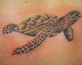 Nice small green turtle tattoo