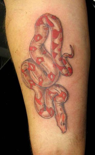 Tatuaggio sulla gamba il serpente marrone rosso