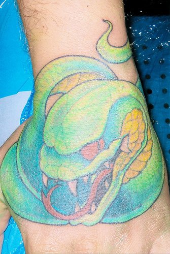 Tatuaggio spaventoso sulla mano il serpente lucido