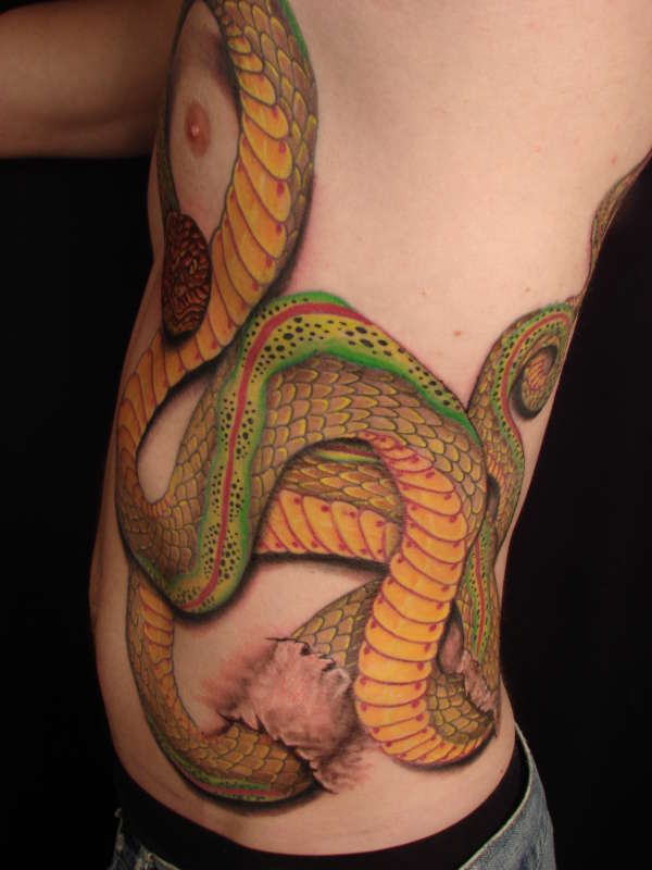 Large realistic snake tattoo in colour