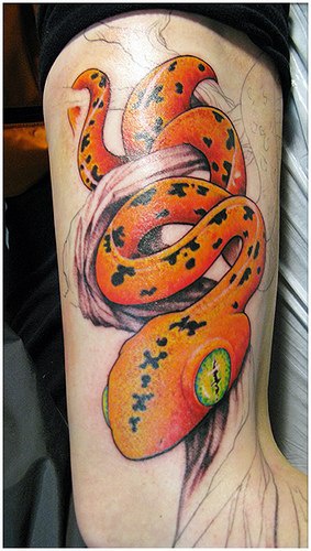 Tatuaggio realistico sul braccio il serpente arancio lucido