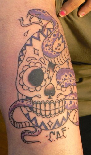 Tatuaggio classico sul braccio il serpente viola & il teschio