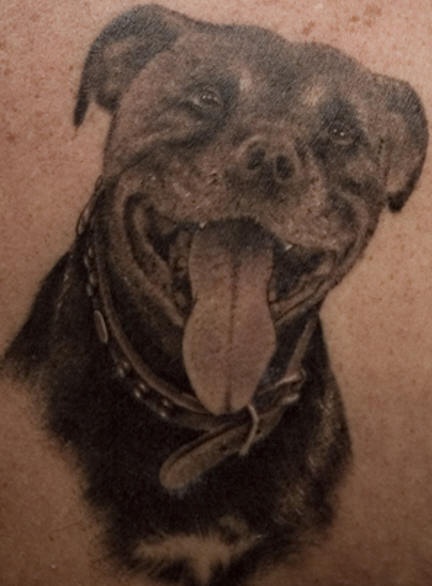 tatuaje del perro de Staffordshire Glad