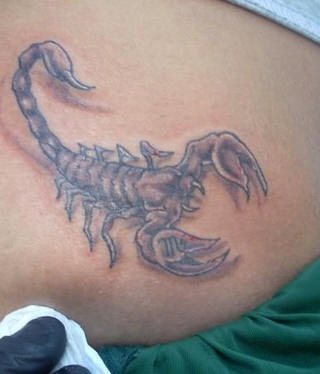 Stomach tattoo, biting scorpion, in dark style