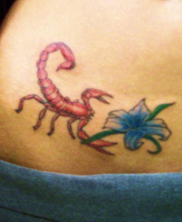 Tatuaggio colorato sulla pancia il scorpione rosso e il fiore azzurro