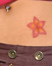 Stomach tattoo, little, accurate red and yellow flower