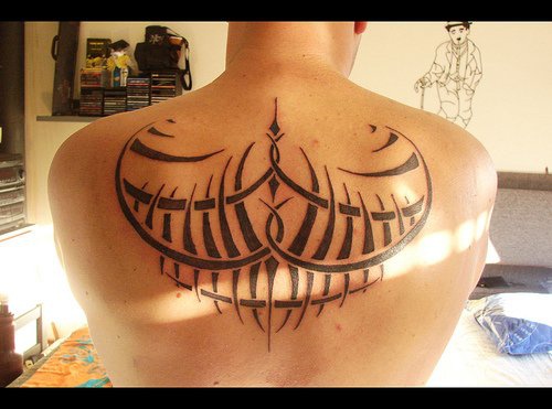 Sails tattoo designed on upper back