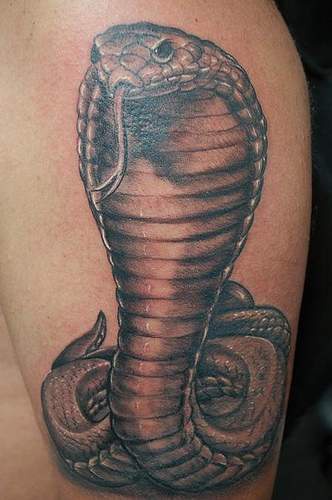 Tatuaggio realistico il serpente bellisimo