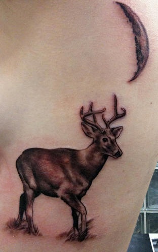 Tatuaggio pittoresco sul fianco il cervo & la luna