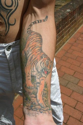 Tiger crawling on mountain tattoo