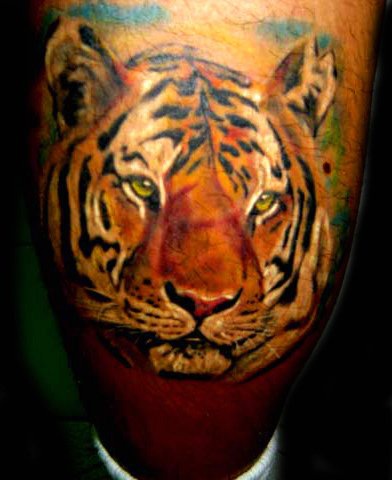 Muy realístico tatuaje cabeza del tigre en color