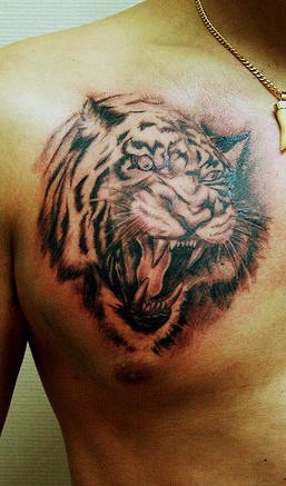 Cabeza del tigre rugiendo en el pecho tatuaje en tinta negra