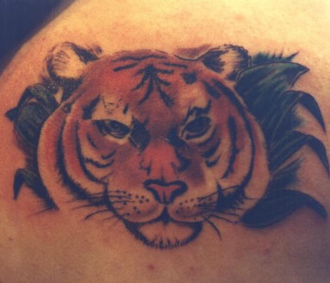 Precioso tatuaje cabeza del tigre entre hojas verdes