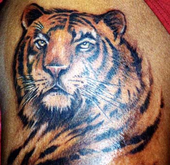 Realistic colourful tiger tattoo