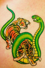 Tiger and snake fight tattoo in colour