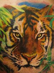 Tatuaje  del tigre en detalle entre las hojas verdes