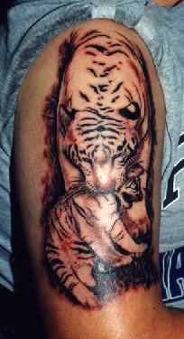 Tigre con su cachorro tatuaje en el brazo